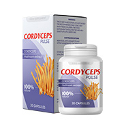 Cordyceps Pulse lungs